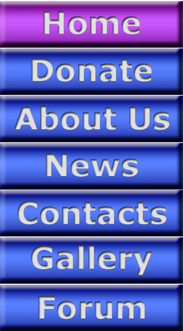 Main Menu